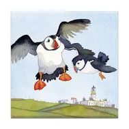 emma-ball-flying-puffins-magnet