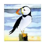 emma-ball-puffin-post-magnet