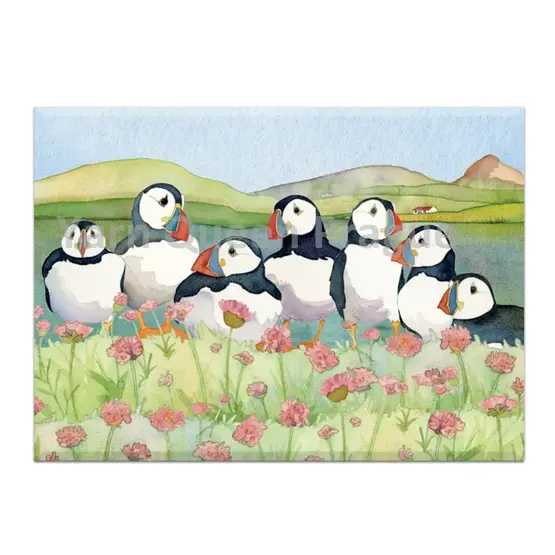 emma-ball-sea-thrift-puffins-large-magnet