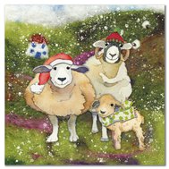 FELTED SHEEP Christmas Card