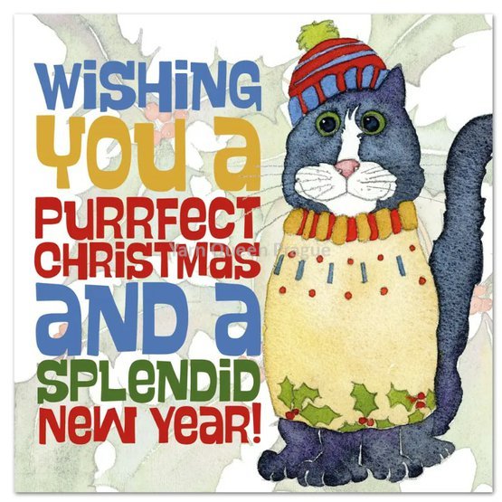 emma-ball-purrfect-christmas-xmas-card-pack-xm69.jpg