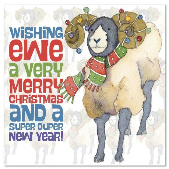 emma-ball-wishing-merry-christmas-xmas-card-pack-xm66.jpg