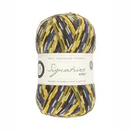 wys-signature-4ply-y-blue-tit-818-country-birds-1a-v-72_11147daf.webp