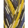 wys-signature-4ply-y-blue-tit-818-country-birds-dt-v-72_18d7b9bc.webp