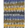 wys-signature-4ply-y-blue-tit-818-country-birds-sw-v-72_755d7790.webp