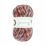 wys-signature-4ply-y-bullfinch-861-country-birds-1a-v-72_50ade23b.webp