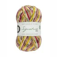wys-signature-4ply-y-goldfinch-840-country-birds-1a-v-72_1_4751fbec.webp