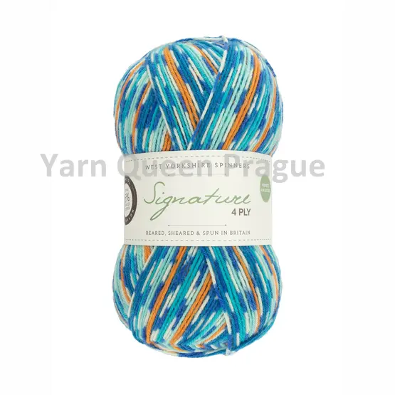 wys-signature-4ply-y-kingfisher-844-country-birds-1a-v-72_cbdce80c.webp