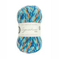 wys-signature-4ply-y-kingfisher-844-country-birds-1a-v-72_cbdce80c.webp