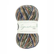 wys-signature-4ply-y-mallard-862-country-birds-1a-v-72_d1e959b9.webp