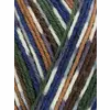 wys-signature-4ply-y-mallard-862-country-birds-dt-v-72_c6302c22.webp