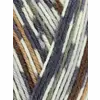 wys-signature-4ply-y-owl-877-country-birds-dt-v-72_b7419ea2.webp