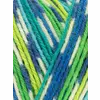 wys-signature-4ply-y-peacock-851-country-birds-dt-v-72_394e7388.webp