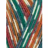 wys-signature-4ply-y-pheasant-855-country-birds-dt-v-72_c1780648.webp