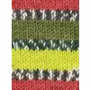 wys_signature_4ply_y_green_woodpecker_1170_country_birds_sw_v_72_21bfe62b.webp