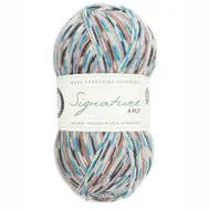 wys_signature_4ply_y_jay_1167_country_birds_1a_v_72_4d71bae8.webp