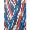 wys_signature_4ply_y_swallow_1168_country_birds_dt_v_72_2a8a17f6.webp