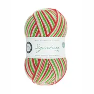 wys-signature-4ply-y-candy-cane-989-christmas-1a-v-72_1_d84a11aa.webp