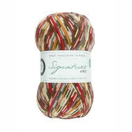 wys-signature-4ply-y-robin-941-country-birds-1a-v-72_17e1e7ec.webp