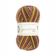 wys-signature-4ply-811-passionfruit-cooler.webp