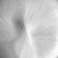 gepard kit seta 416 white.png