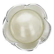 button-5703-20-silver.webp