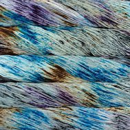 Malabrigo VERANO Drive Snorkeling Malabrigo VERANO Drive Snorkeling