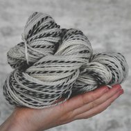 zebra dk sockUD.jpg