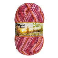 OPAL XLarge 8-fach WINTER SONNE 11432  Wintersonne