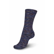 REGIA 4ply FAVOURITES COLOR 3058
