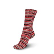 REGIA 4ply Christmas Color 2455 Bisquits
