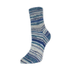 2125_Flotte_Socke_6f_Men-s_Socks_Fb3204_Socke_am_Fuss_72dpi_600x600.png