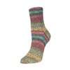 Flotte Socke 4f. Alpaka-Merino 3072p.jpg