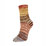 2370_Flotte_Socke_4f_Perfect_Rainbow_Fb3120_Socke_am_Fuss_HG_72dpi_49e1e826.webp