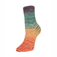 2370_Flotte_Socke_4f_Perfect_Rainbow_Fb3125_Socke_am_Fuss_HG_72dpi_af1d7a60.webp