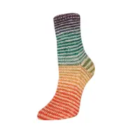 rellana-flotte_socke-perfect-rainbow-3125.webp