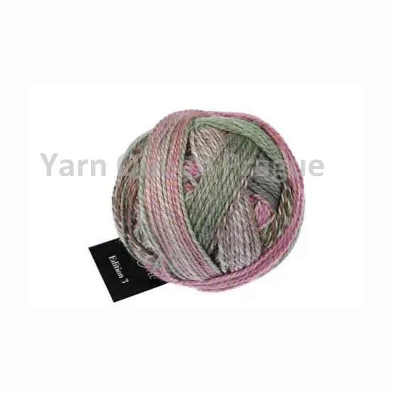 shoppel-edition3-2629-aurora.webp