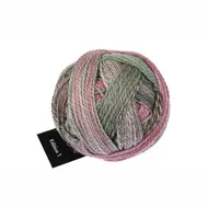 shoppel-edition3-2629-aurora.webp