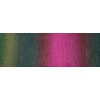 schoppel-wolle-gradient-2249
