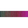 schoppel-wolle-gradient-2249