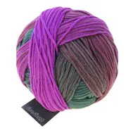 schoppel-wolle-gradient-2249