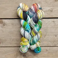 zebra-sock-paleta.webp